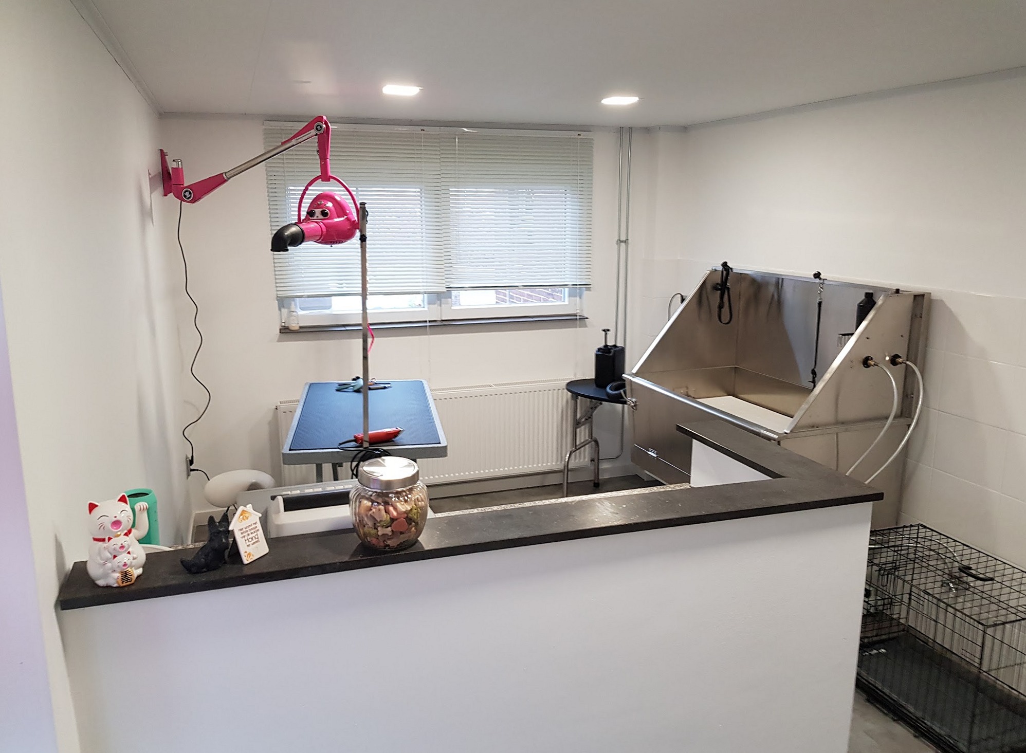 De werkplek in de salon: de trimtafel met trimarm, de föhn aan de wand en de rvs spoelbak