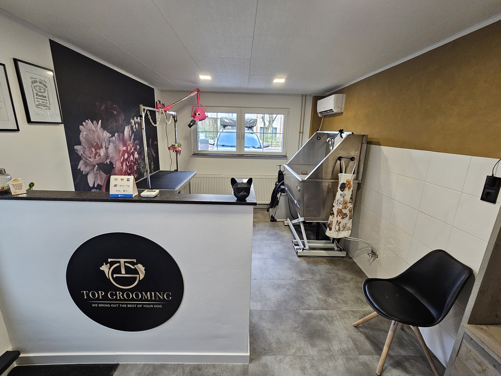 De salon: een witte balie met het ronde zwarte TOP GROOMING bord, daarachter de trimtafel, de spoelbak en een goudkleurige wand